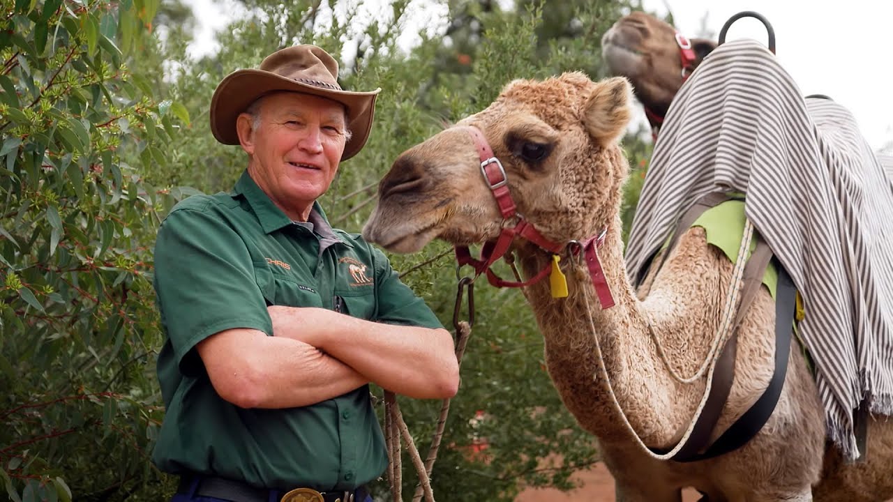 Destination WA - The Calamunnda Camel Farm