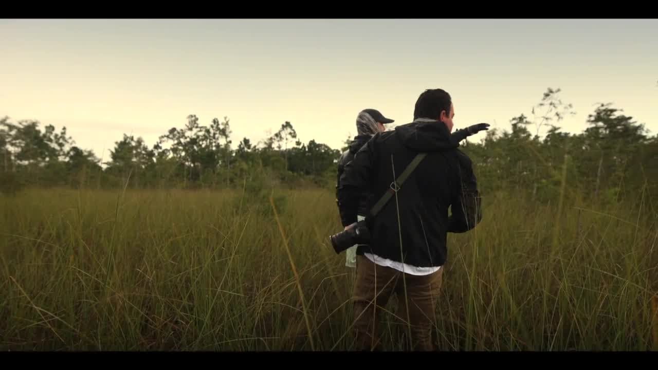 Trekking through the swamp near Florida&rsquo;s Alligator Alcatraz