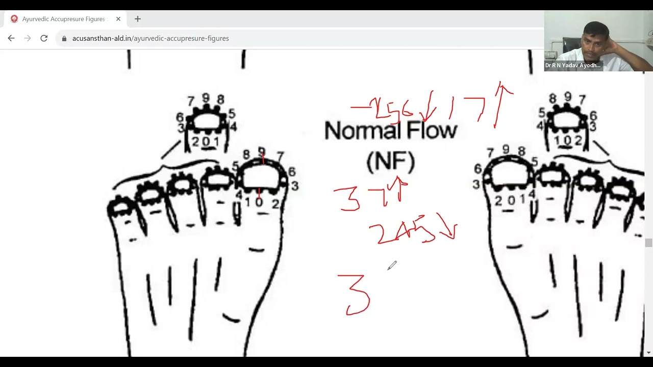 Ayurvedic Acupressure Major Body Division