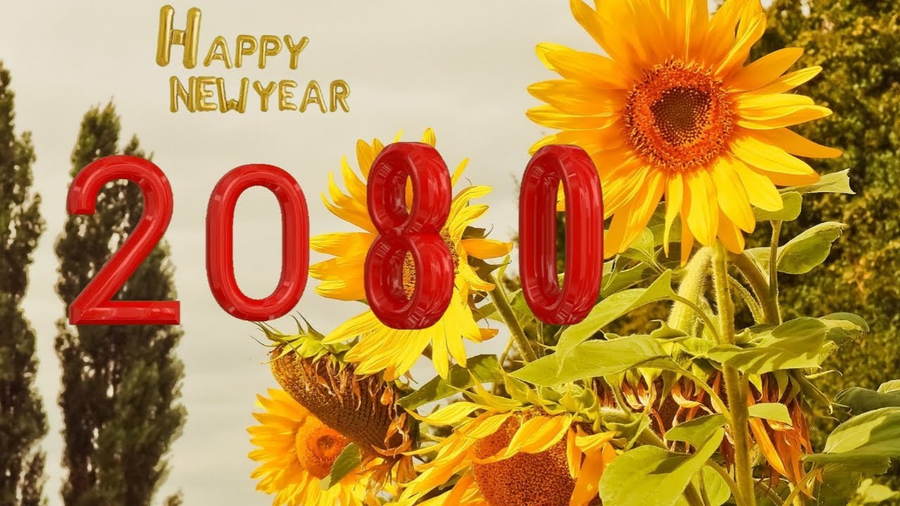 happy new year 2080 best wishes video