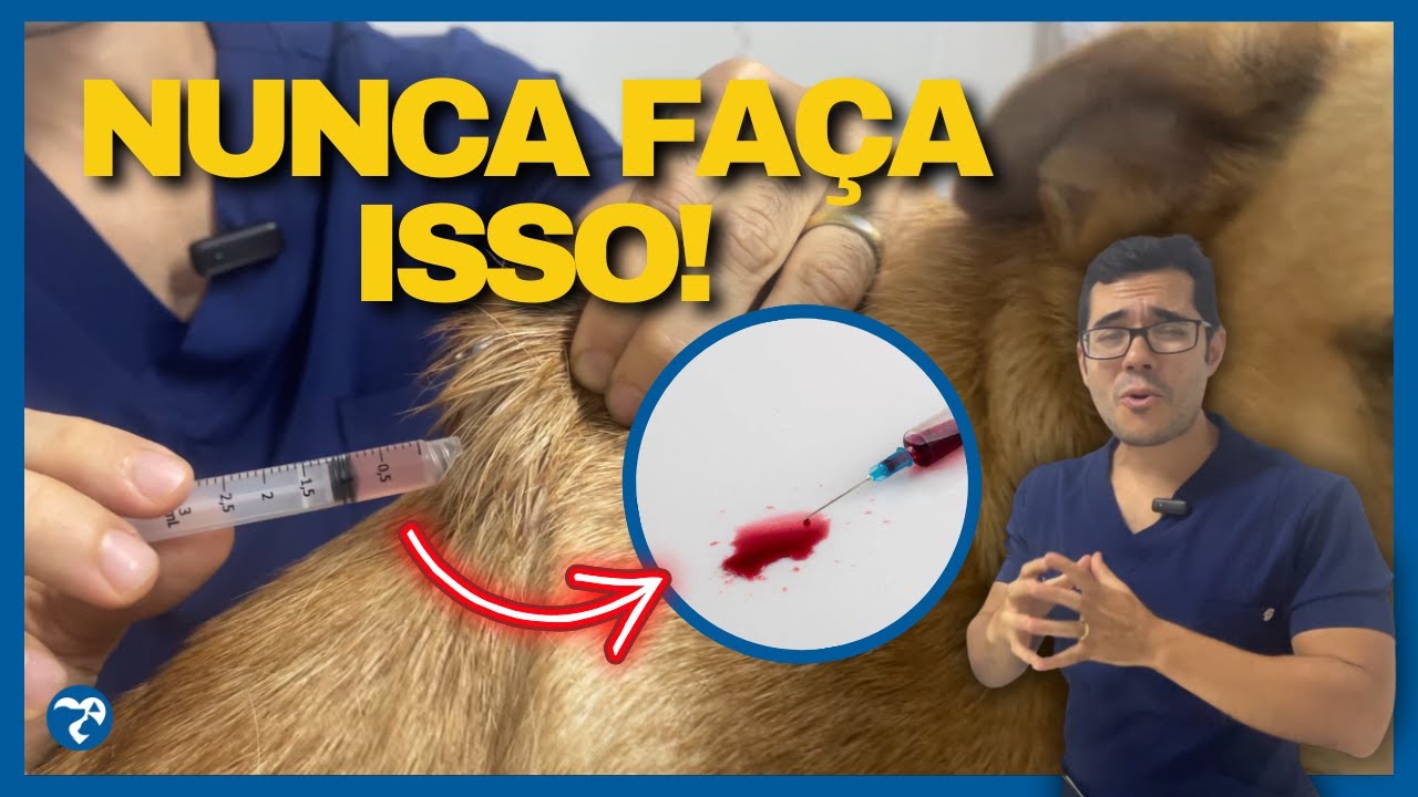 O SEGREDO de Como Aplicar Vacina no Cachorro e no Gato. Como Aplicar Injeção no Cachorro e no Gato?