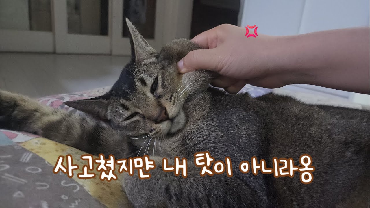 1초만에 -7만원 해먹음
