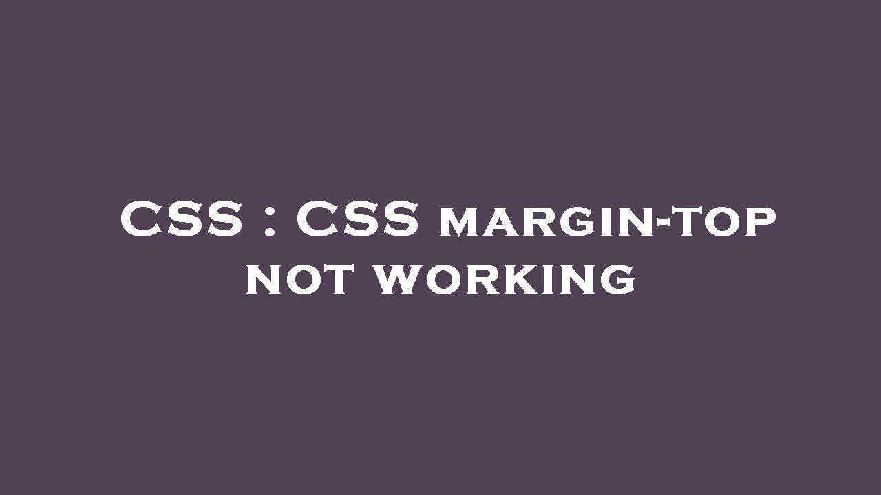 CSS : CSS margin-top not working