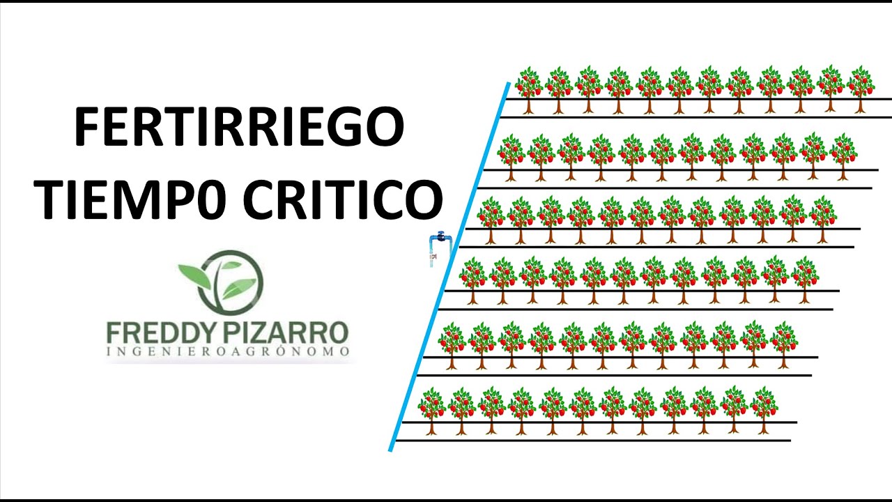 FERTIRRIGACION QUE ES EL TIEMPO CRITICO