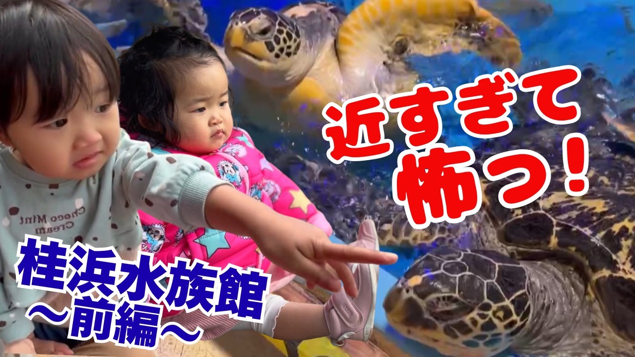 【年子姉妹】「入館3秒で…帰る!?」桂浜水族館がツッコミどころ満載すぎた！