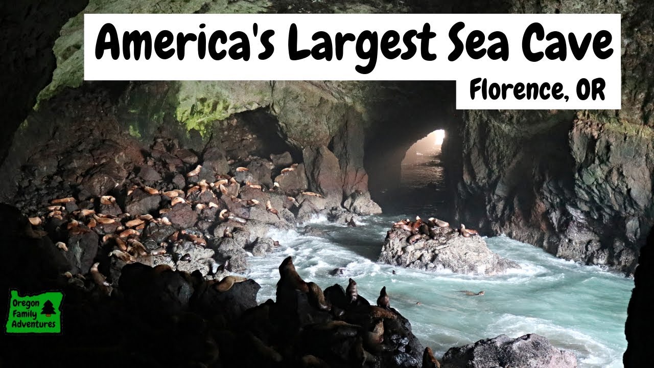 Road Trip from Yachats to Reedsport, Oregon | Sea Lion Caves, Heceta Lighthouse