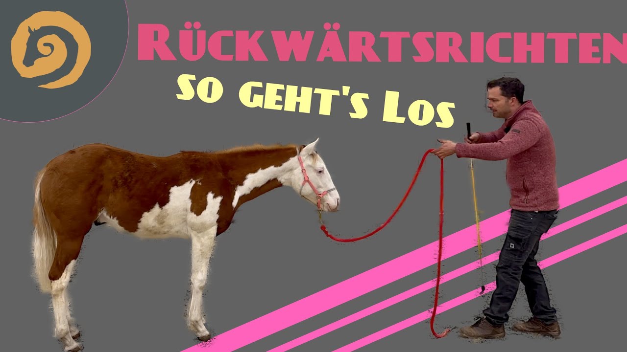 Rückwärtsrichten, so geht's los!