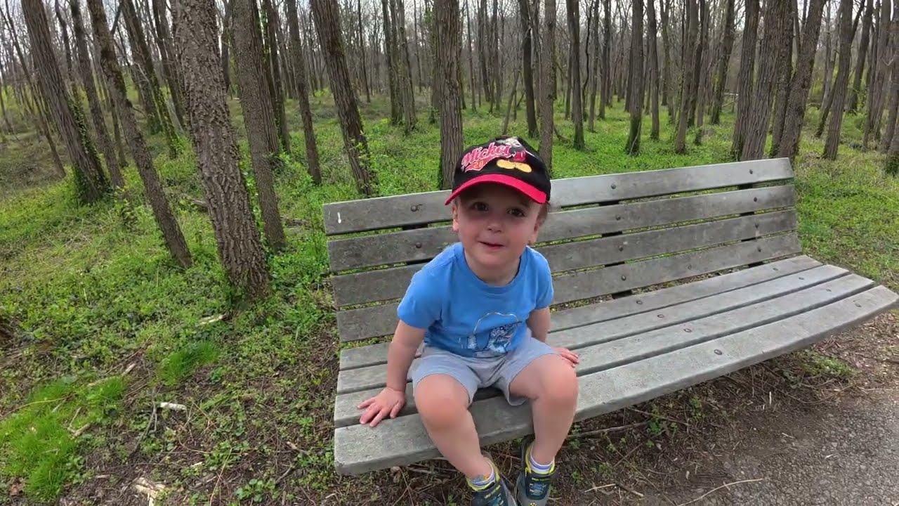 Hiking A Natural Spring just Minutes from Downtown Lexington, KY | McConnell Springs | March 2025 |