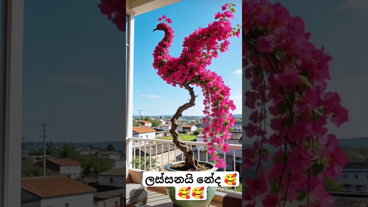 ​"With a beautiful mind, you can nurture a flower tree into existence#🥰🥰🥰