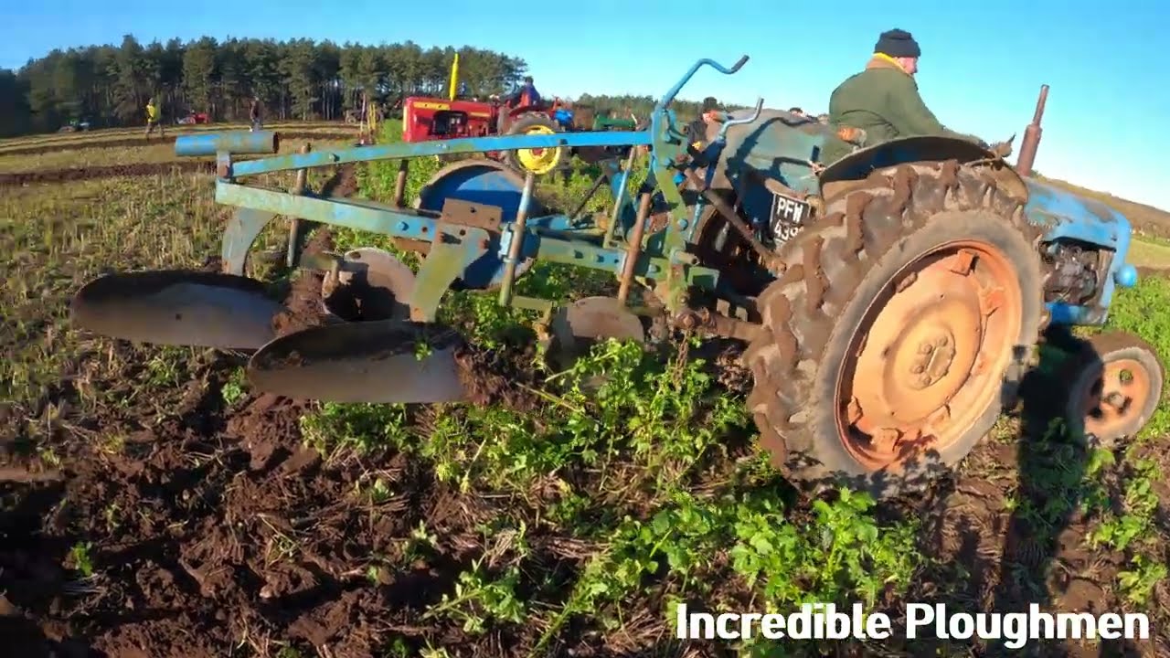 1958 Fordson E1A New Major 3.6 Litre 4-Cyl Diesel Tractor 38 HP Sherwood Forest Ploughing Match 2025