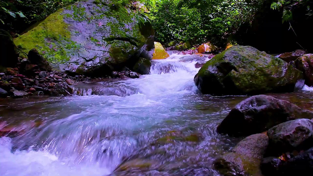 Sleep Deep with Mountain River | Calm Nature White Noise for Relaxing Nights
