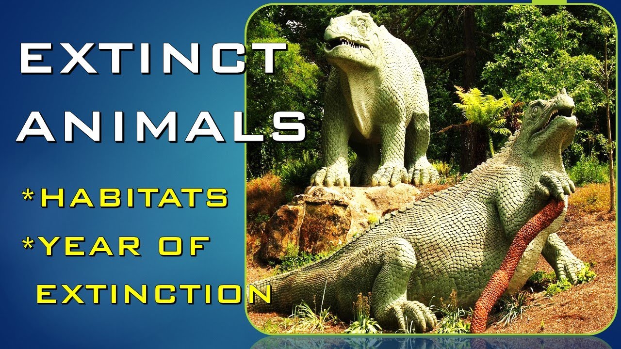 EXTINCT ANIMALS |HABITATS AND YEAR OF EXTINCTION (#14)