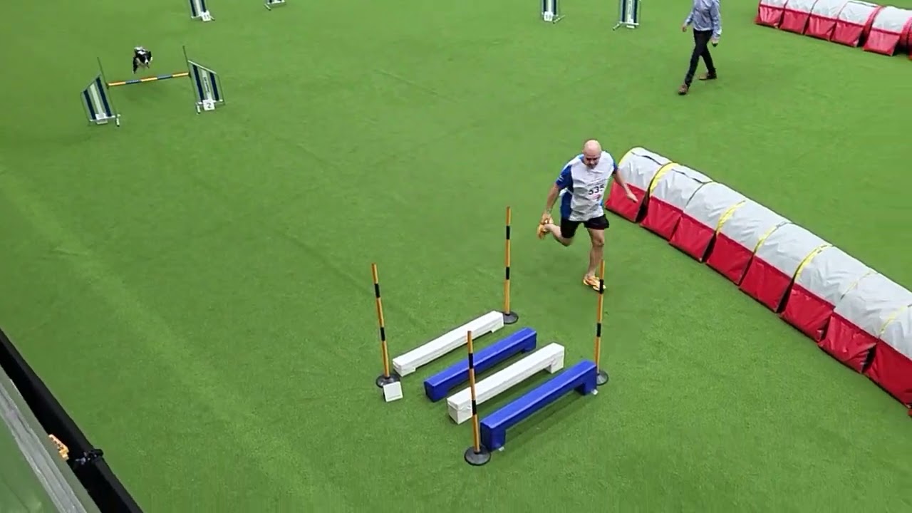 WOW Jaakko Suoknuuti FIN Jumping Large Individual FCI AWC 2022