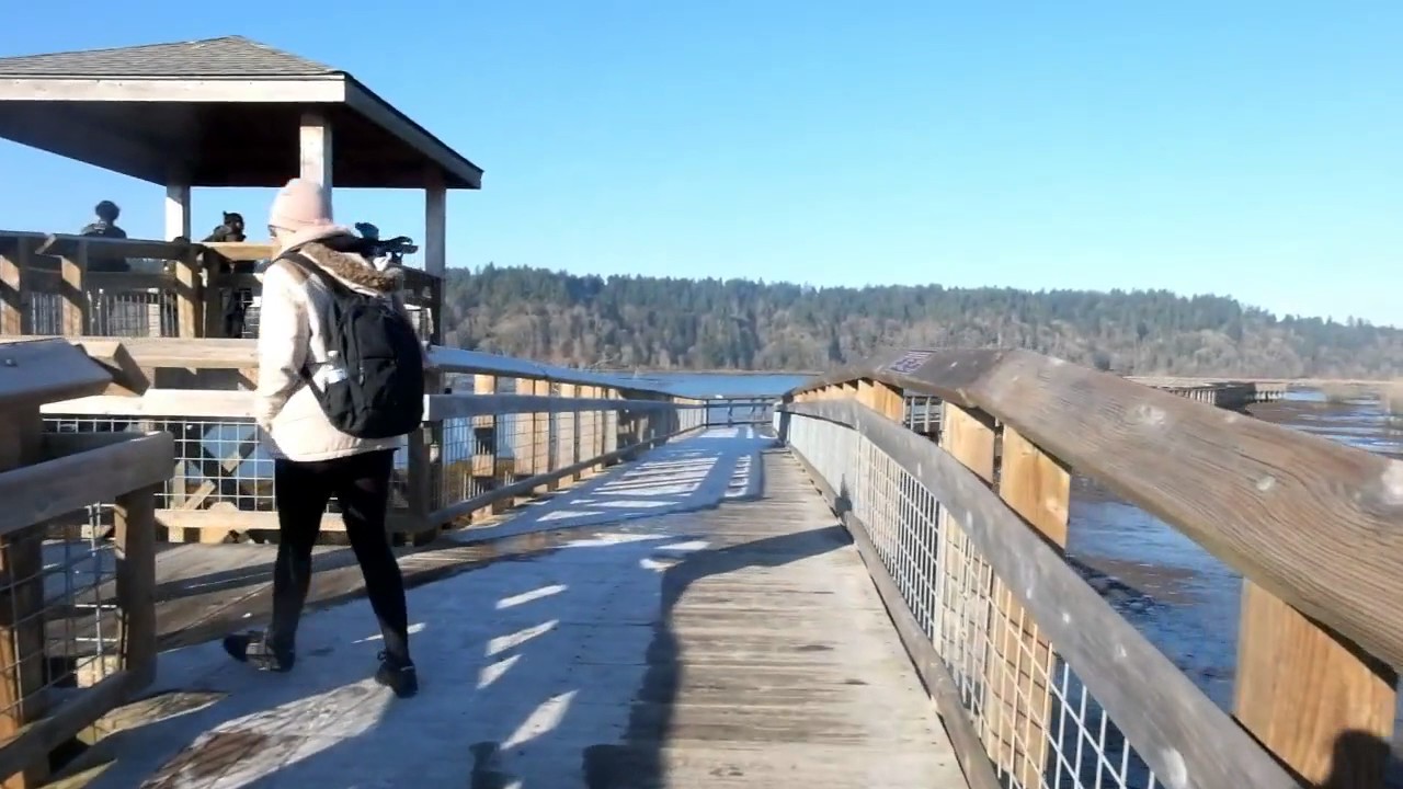 Nisqually Wildlife Refuge Hike