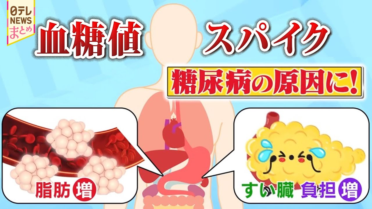【血糖値スパイク】“糖尿病”への新対策 血糖値の“見える化”で生活習慣を改善！ / 動脈硬化や心筋梗塞のリスクを高める血糖値が急上昇・急降下する“血糖値スパイク”