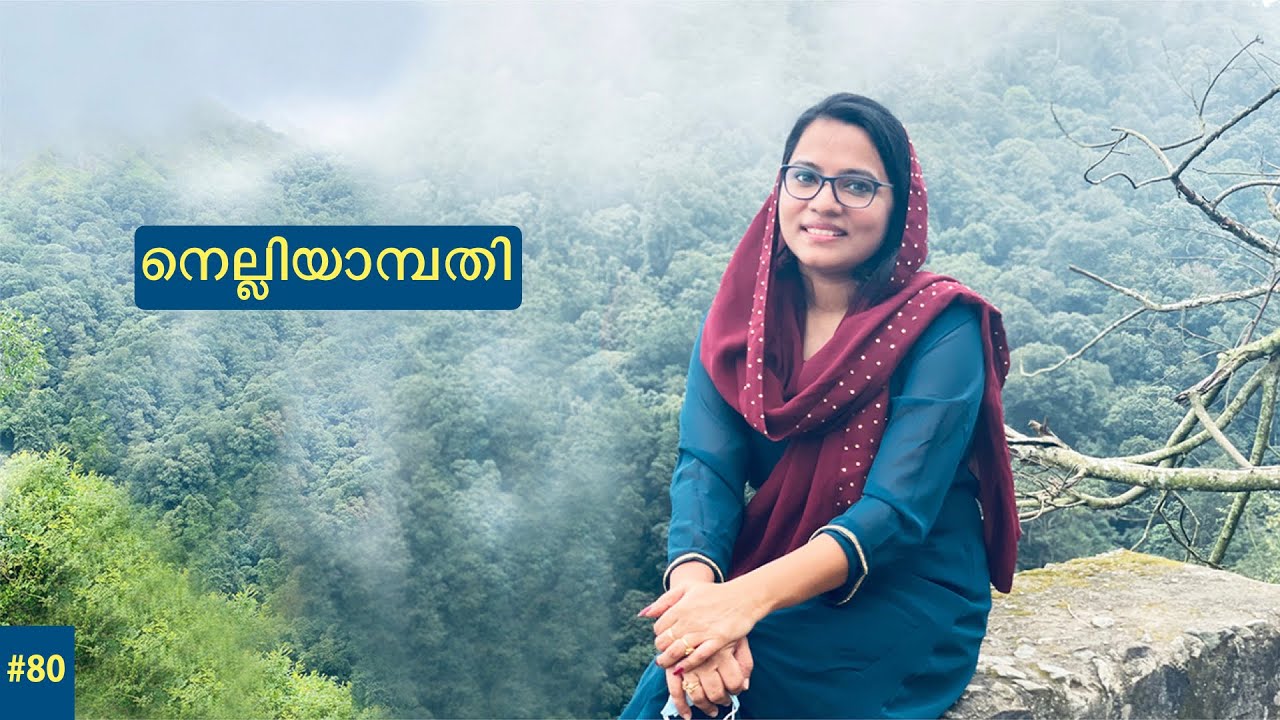Nelliyampathy | An Off- Roading Day Trip | Palakkad | Kerala | 5K UHD Travel Videos | Safnas Records