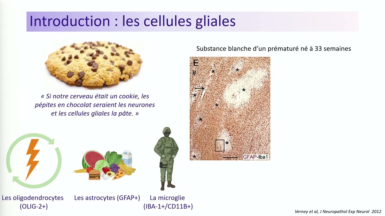 UA 2024 - Cindy Bokobza - Young researchers' presentations - ARAPI (FR)