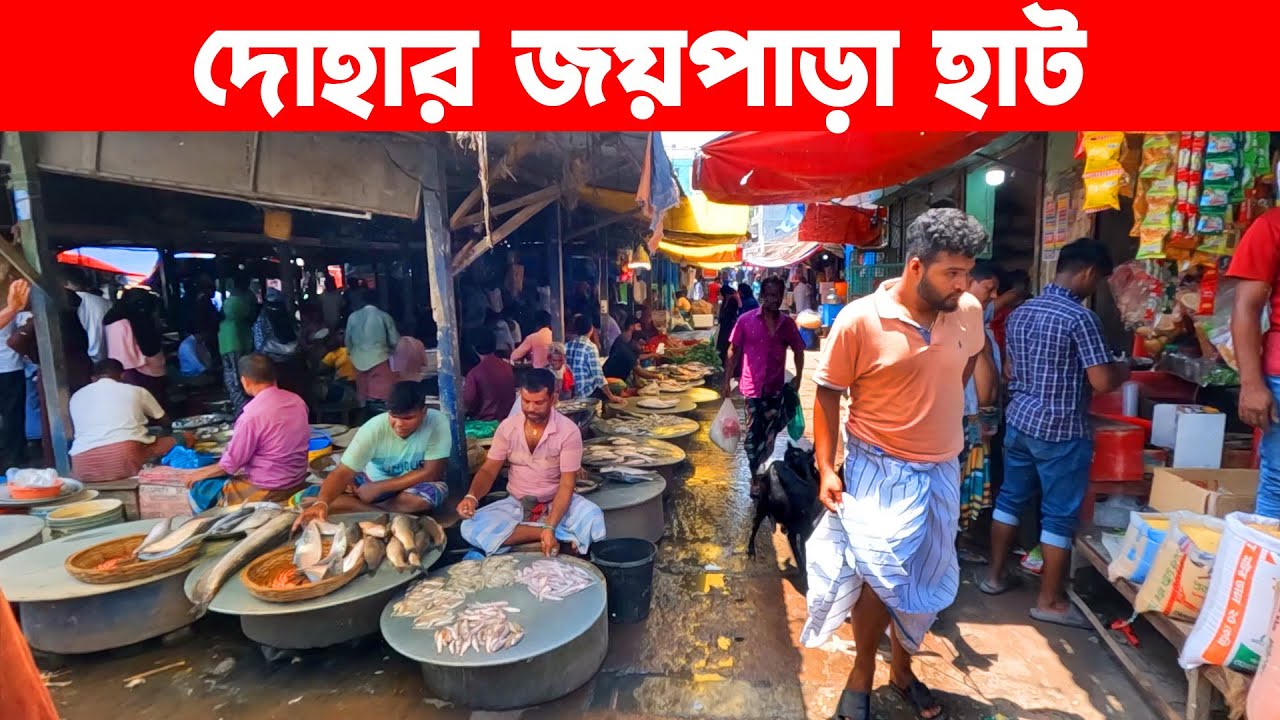 দোহার জয়পাড়া হাট || Village Market || Village Market in Bangladesh | Joypara hat | Live Village 24