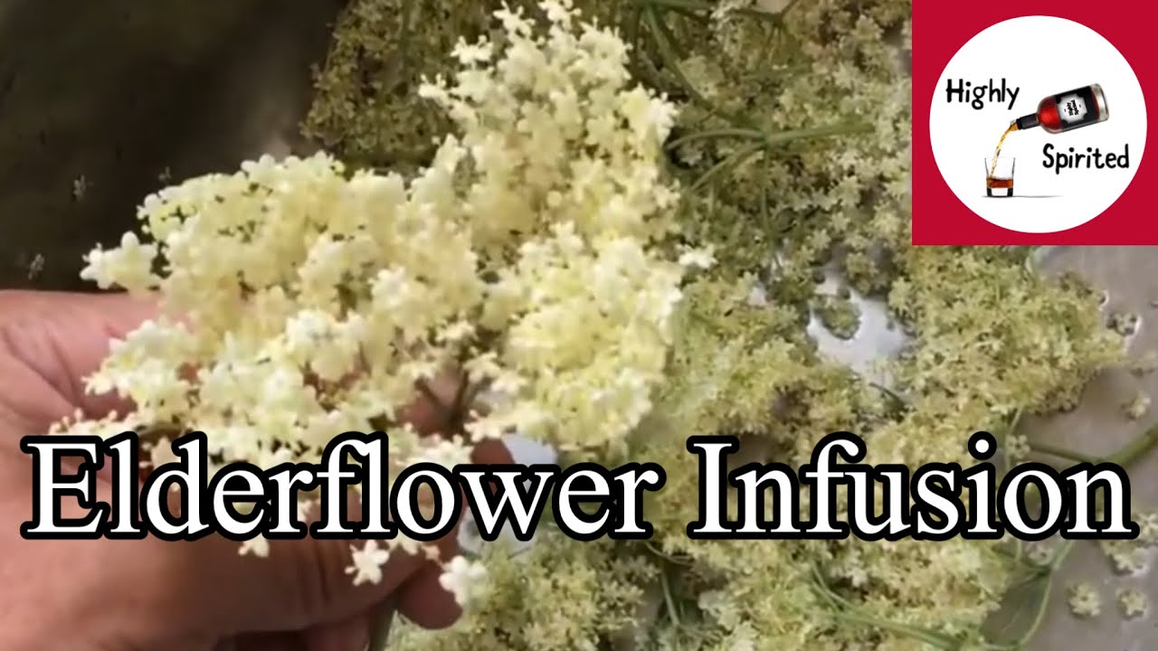 Free Flavours From Foraged Flowers