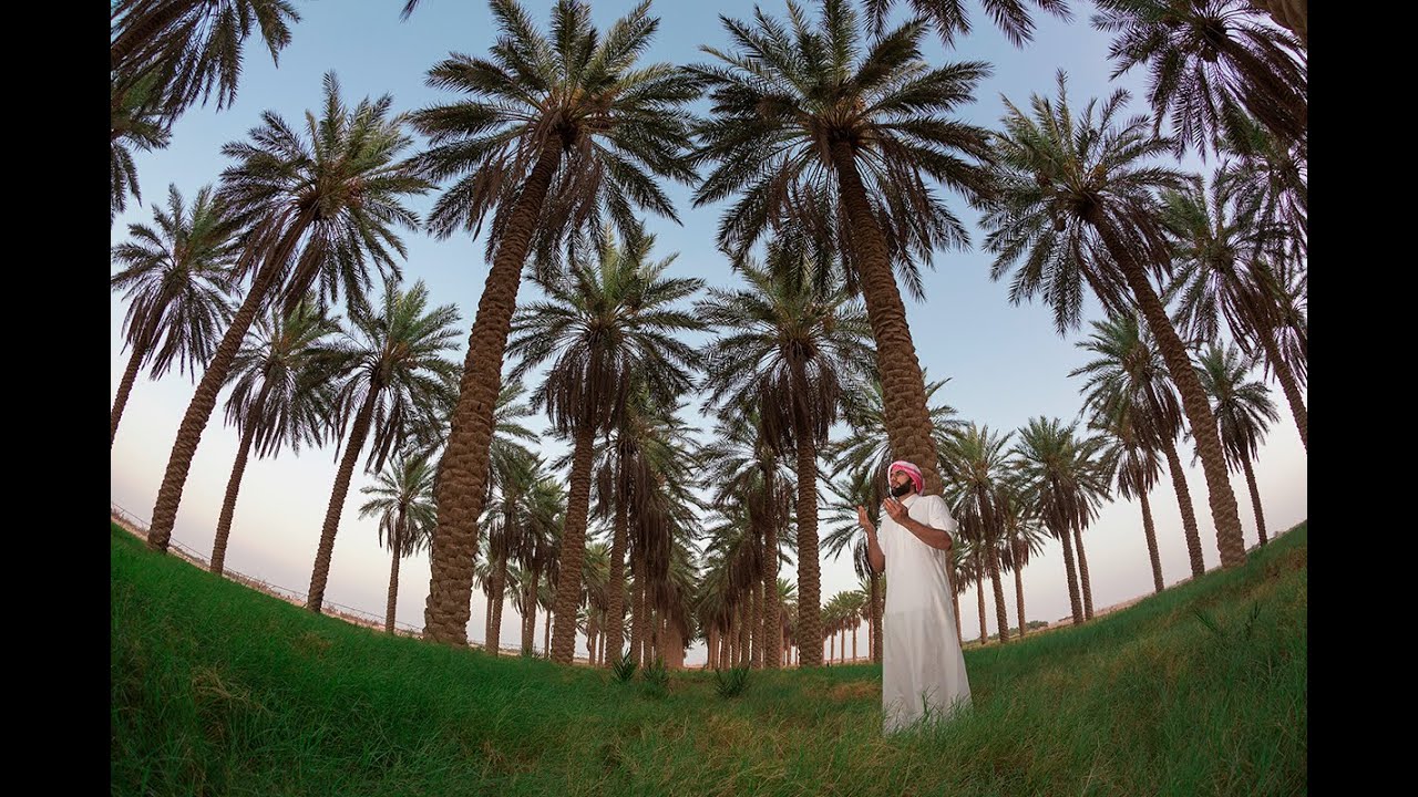 مهرجان تمور رياض الخبراء ٣٦