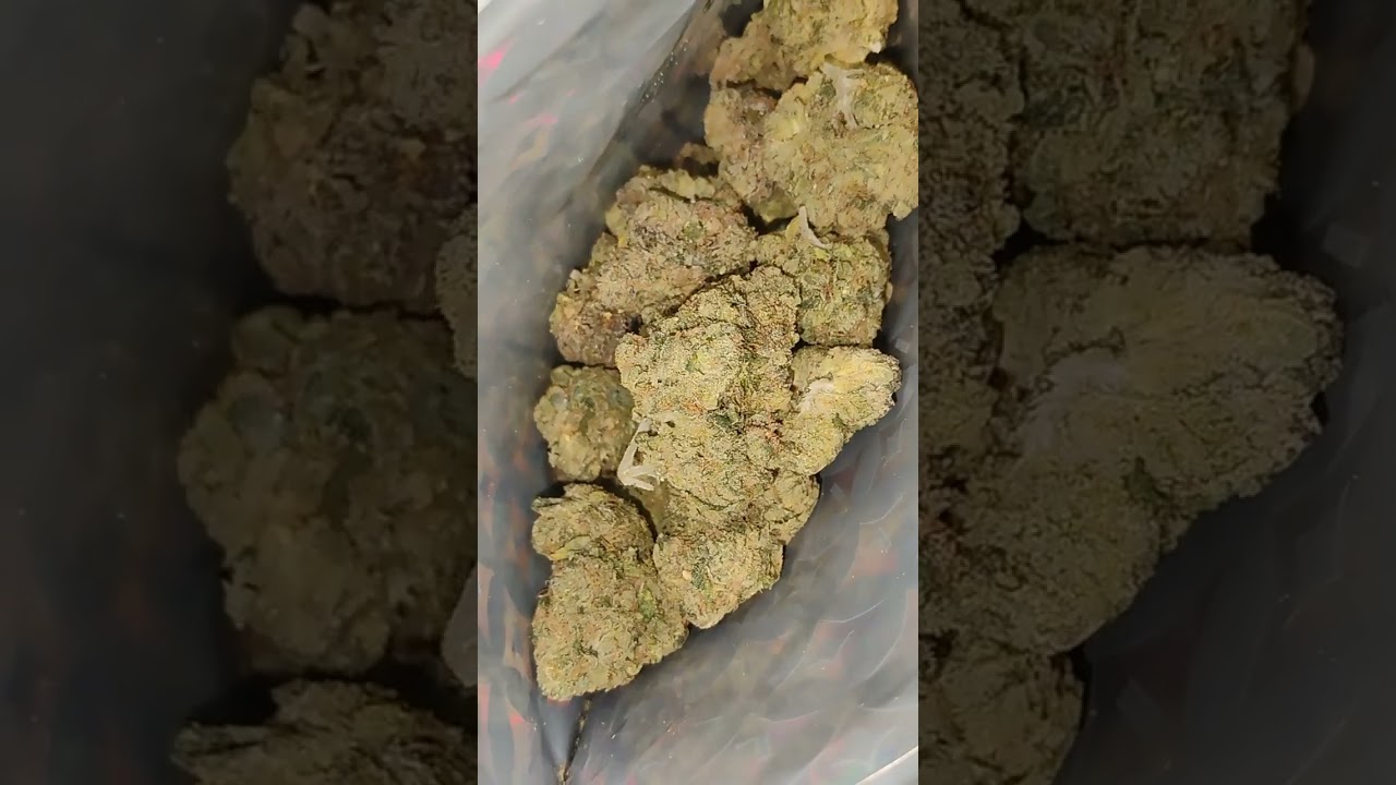 LIT FARMS MOCHI SUPREME ⛽⛽ 