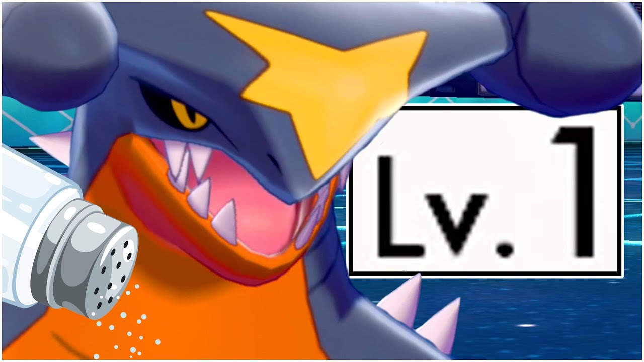 FULL LEVEL 1 POKEMON DRAGON TYPE TEAM! Salty Kid Beaten By Level 1 Pokemon Team