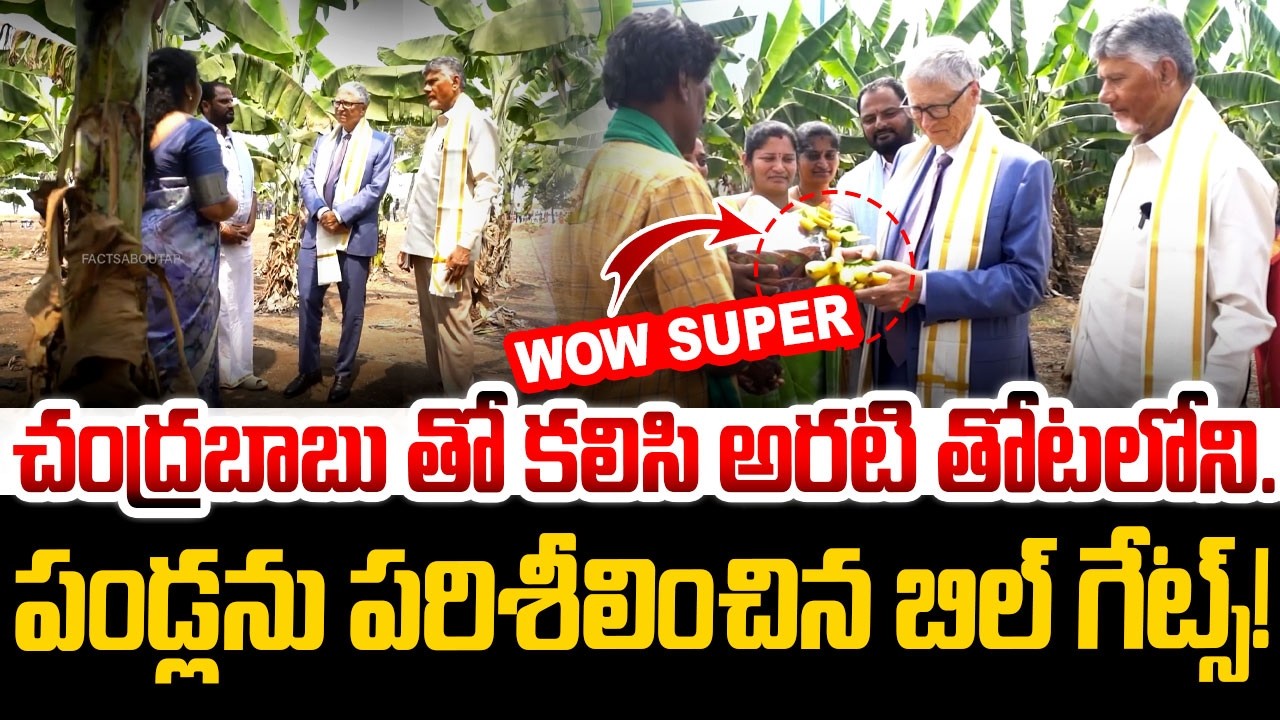చంద్రబాబుతో కలిసి అరటి తోటను సందర్శించిన! Bill Gates | AP Latest News | Banana Farm Inspection in AP