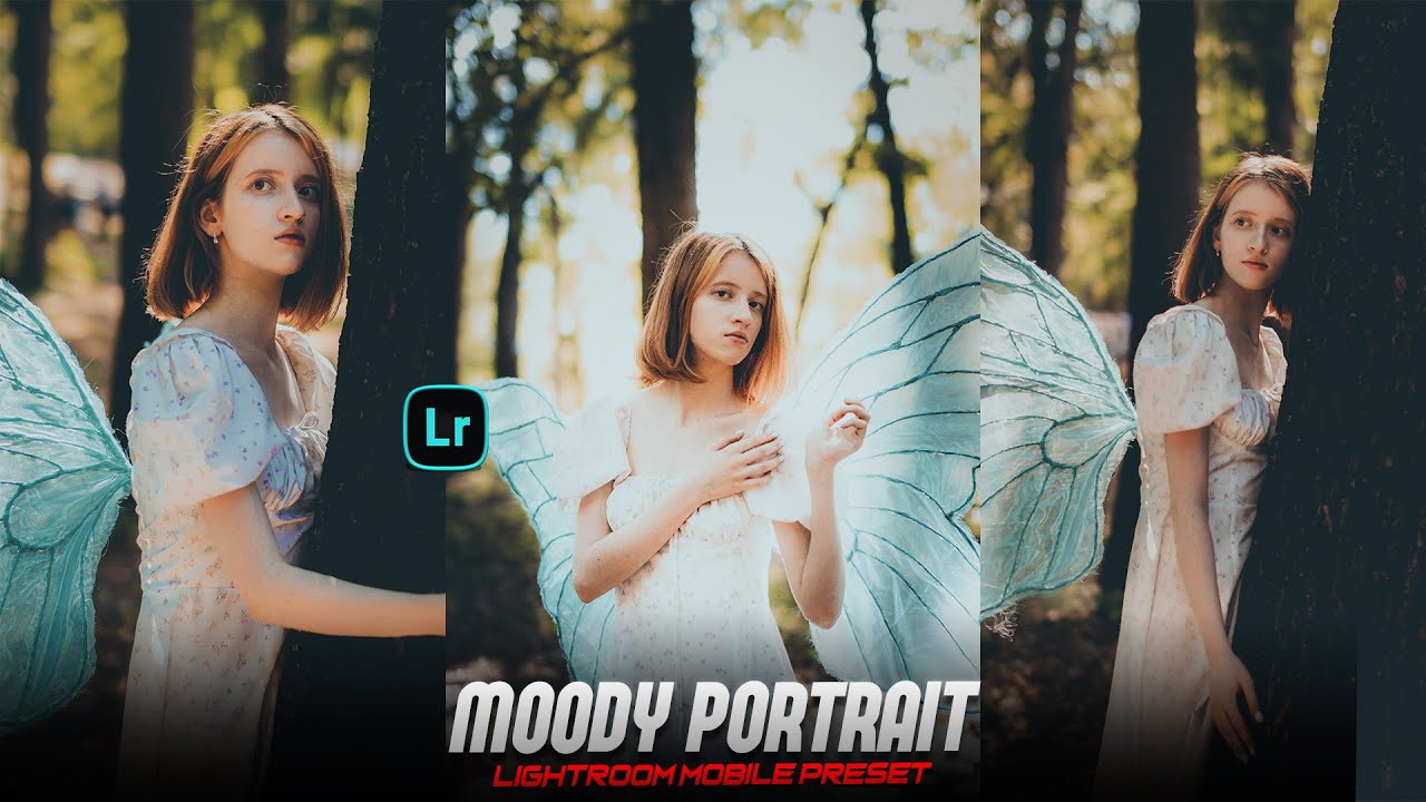Free Moody Portrait Lightroom Preset Download + Easy Editing Tutorial 2025