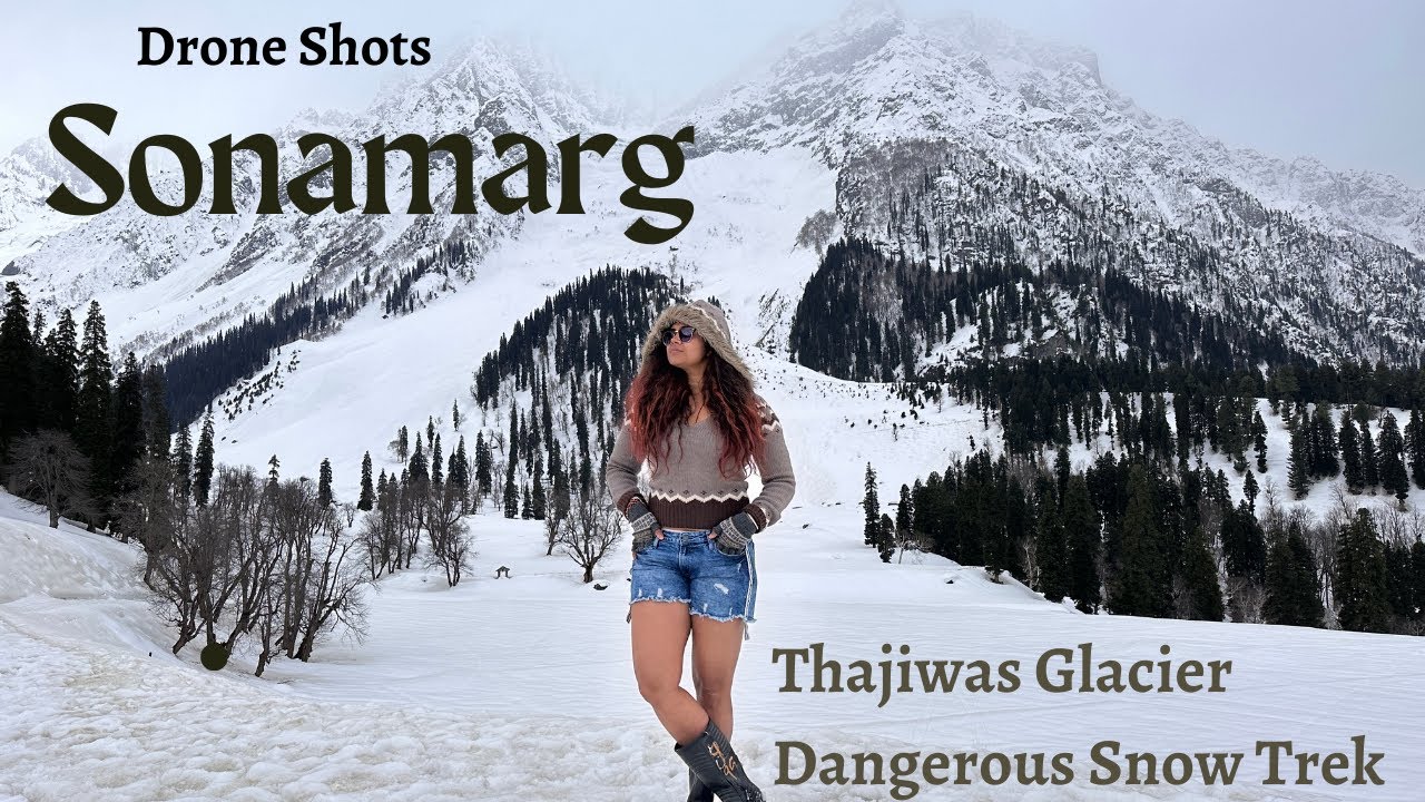 Snowy Sonmarg like never before | Trekking with mountain bear | Thajiwas Glacier wildest snow Trek