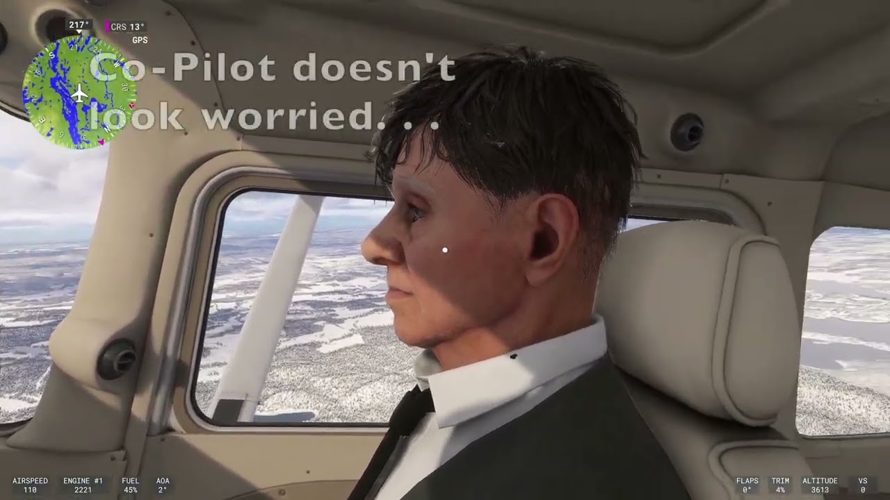 Missing Co Pilot
