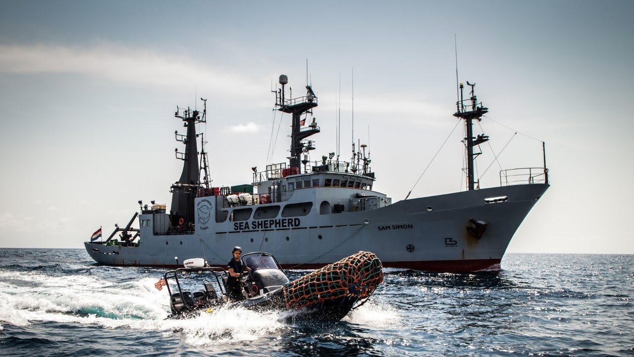 Una giornata da pirati, a bordo della nave Sam Simon di Sea Shepherd