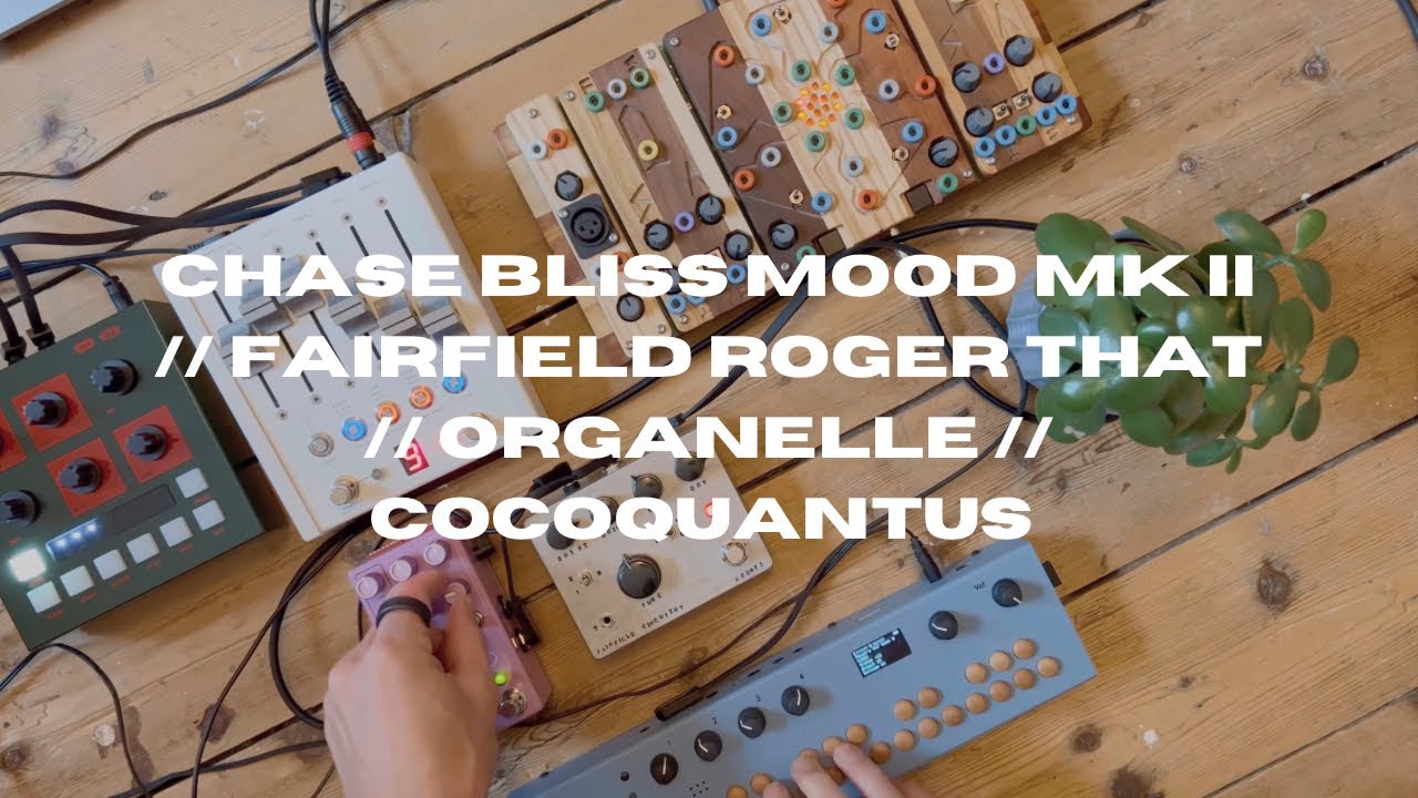 Chase Bliss Mood Mk 2 // Fairfield Roger That // Organelle