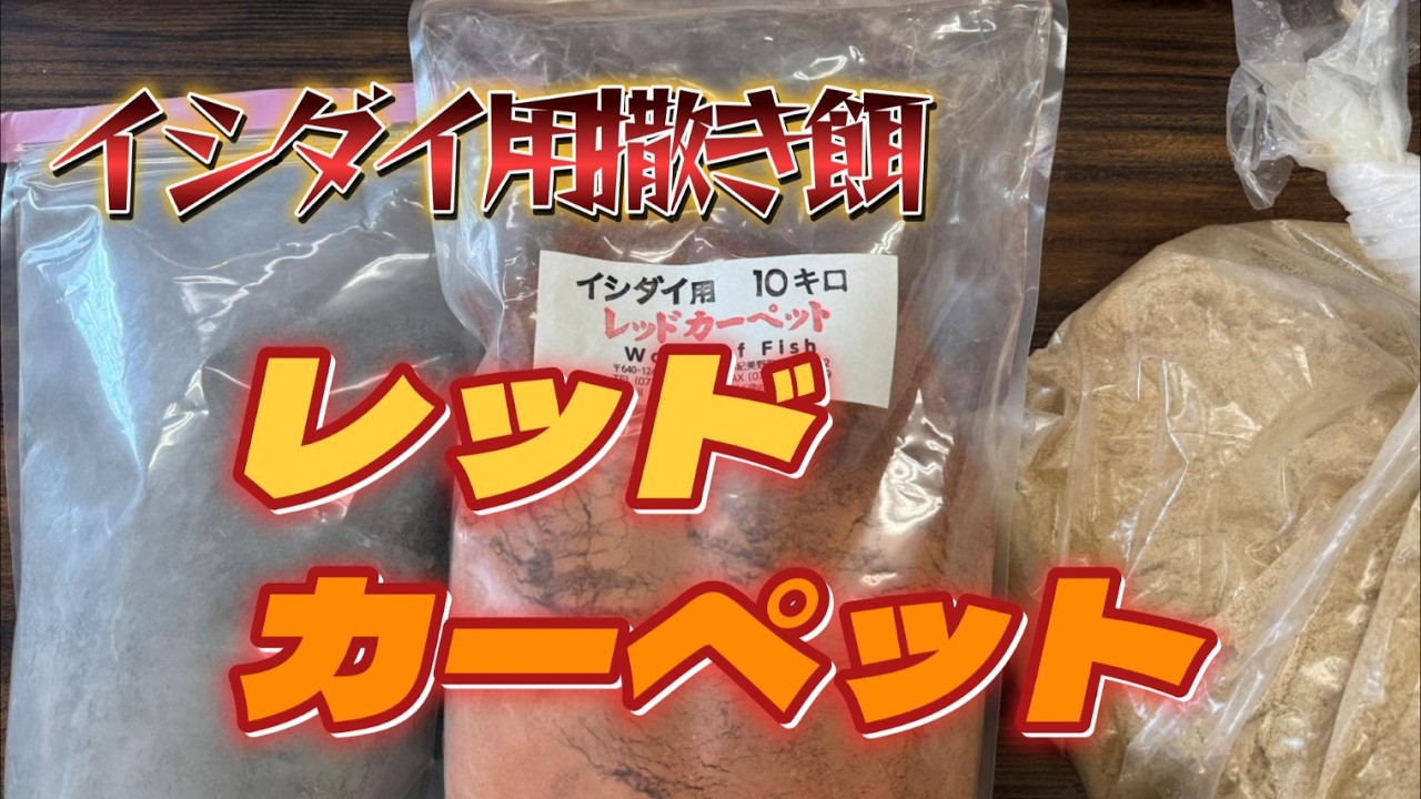 【＃石鯛】真冬の海に石鯛専用の撒き餌を落としてみると