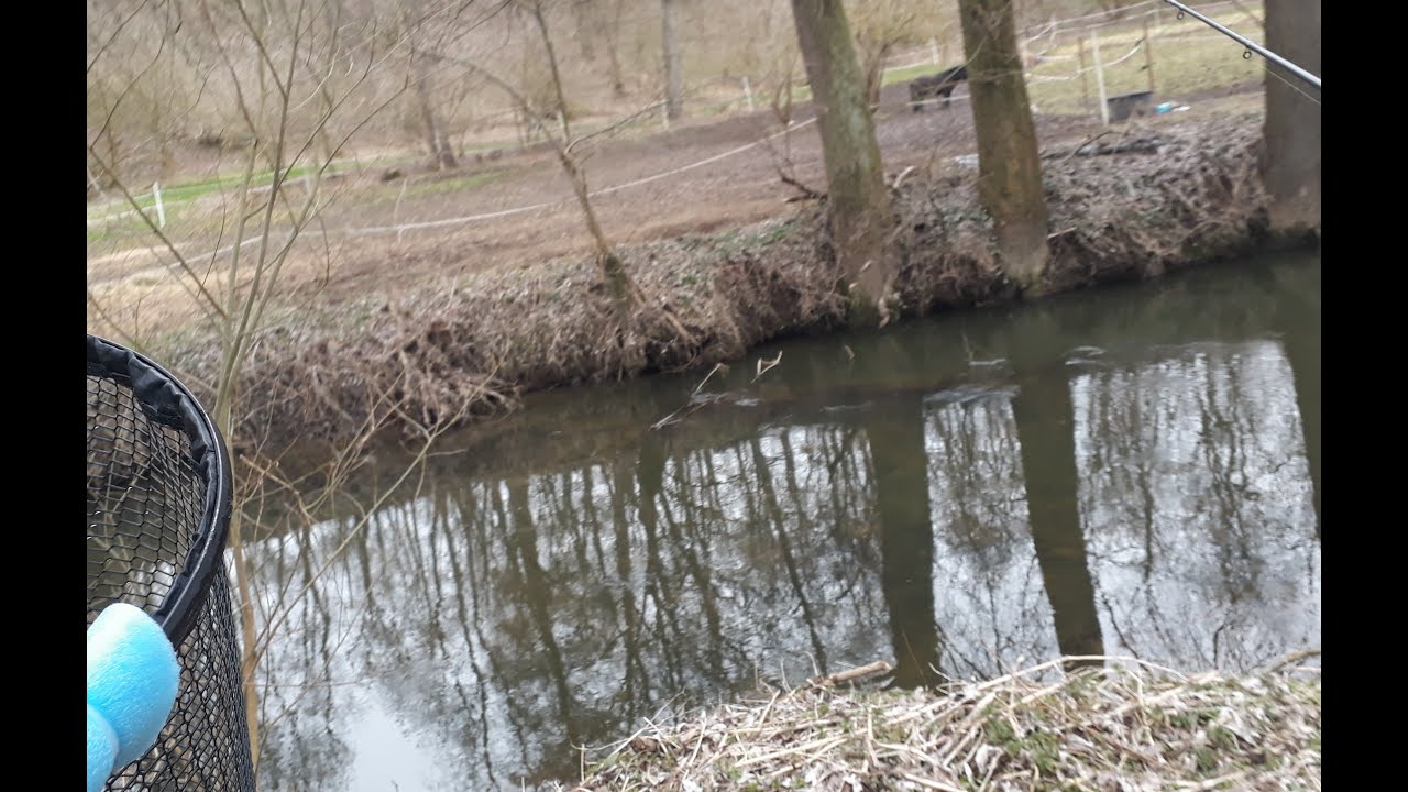 Tloušti na feeder