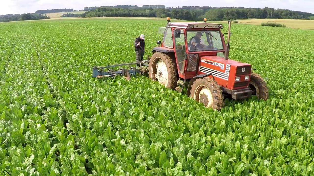 Binage des betteraves 2016 [GoPro] [Drone]
