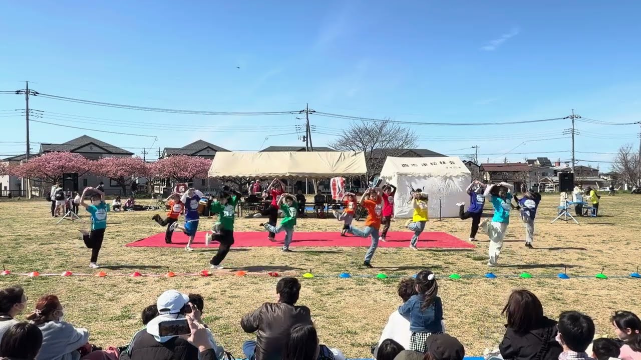 夢中（2026.03.07 西志津河津桜まつり）