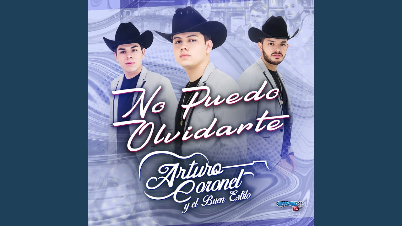 No Puedo Olvidarte