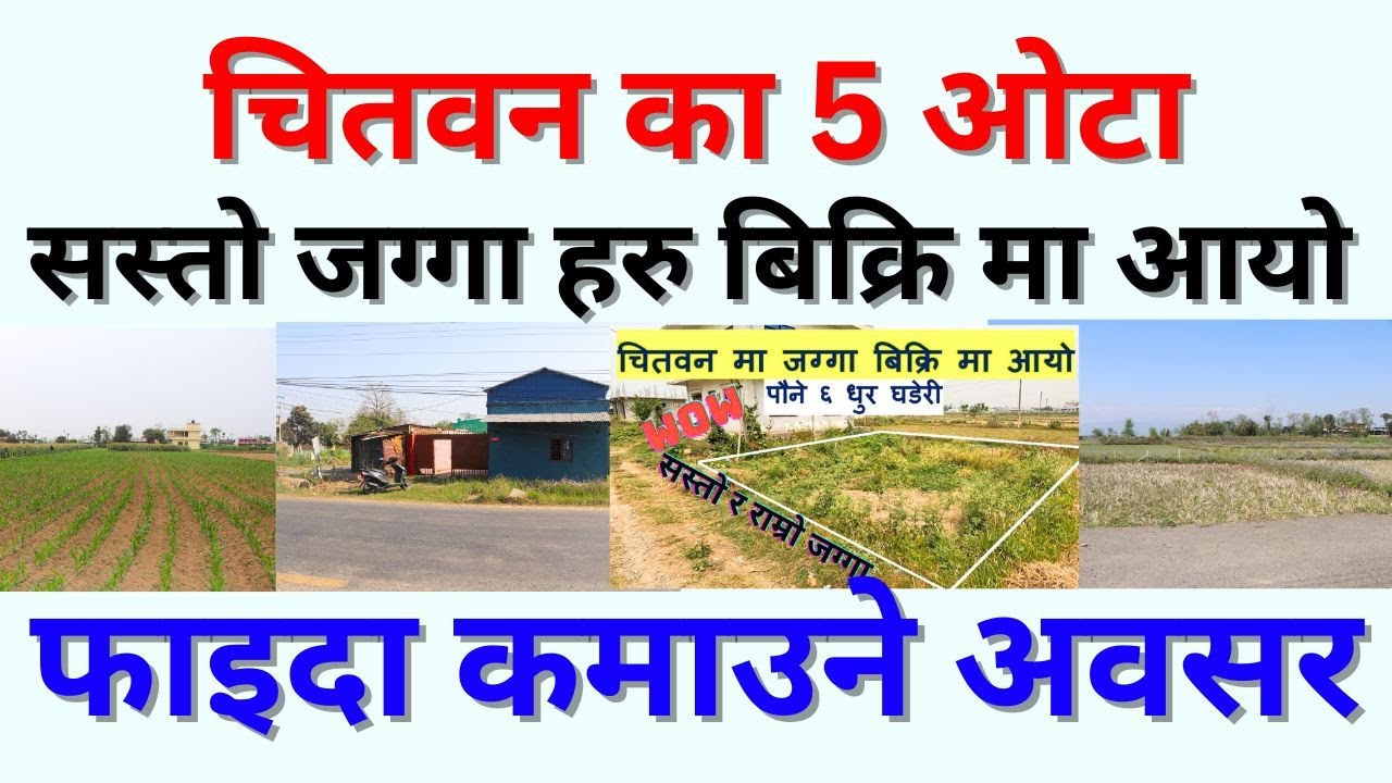 चितवन का 5 ओटा सस्तो जग्गा हरु बिक्रि मा आयो   फाइदा कमाउने अवसर best land sale chitwan nepal