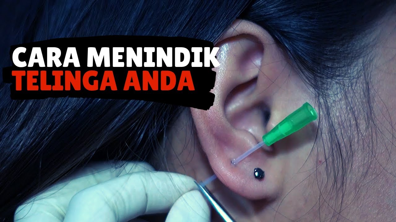 Cara Menindik Telinga Anda - Upper Lobe Piercing - by Piercing Indonesia, Piercing & Tattoo Bandung
