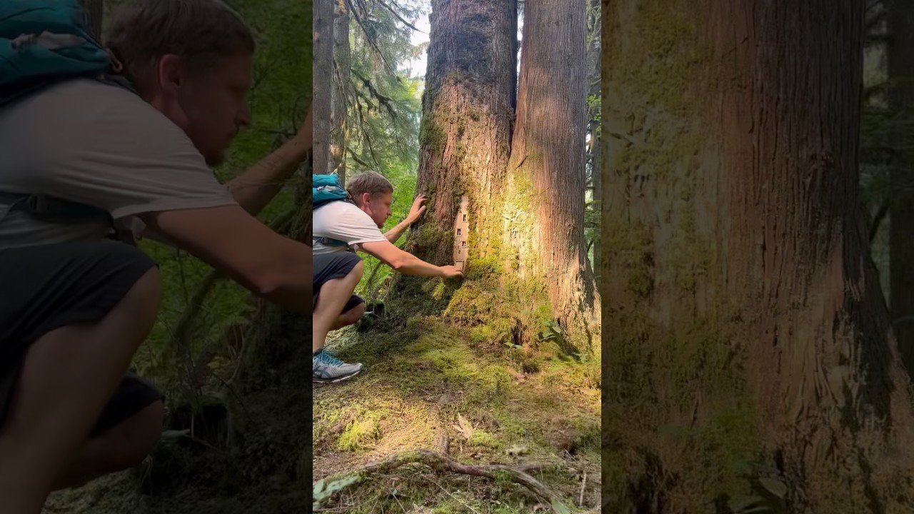 Here are a few of my all natural fairy house &ldquo;fa&ccedil;ade&rdquo; installations