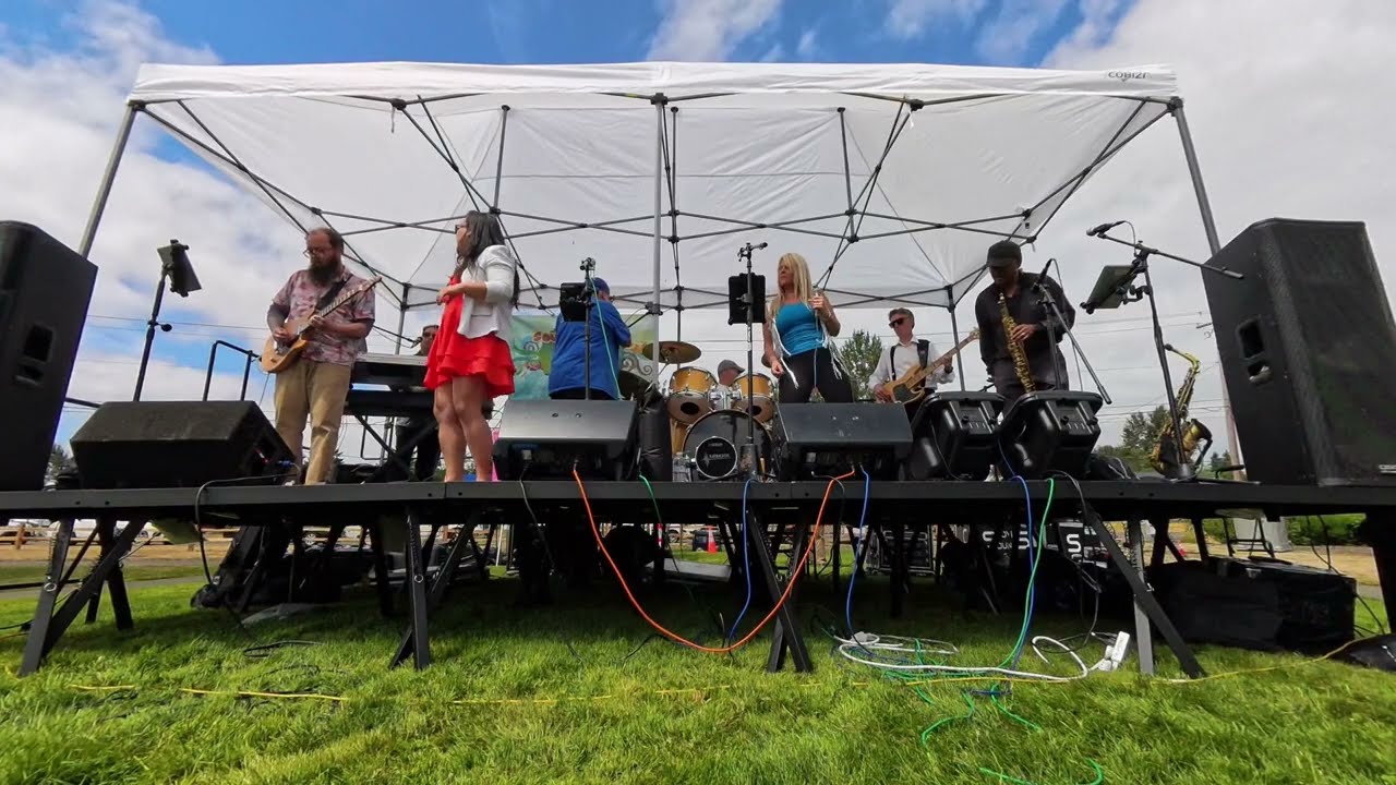Stevie Wonder’s “Superstition” – Soulfunktion 100 % LIVE Band Cover 2025