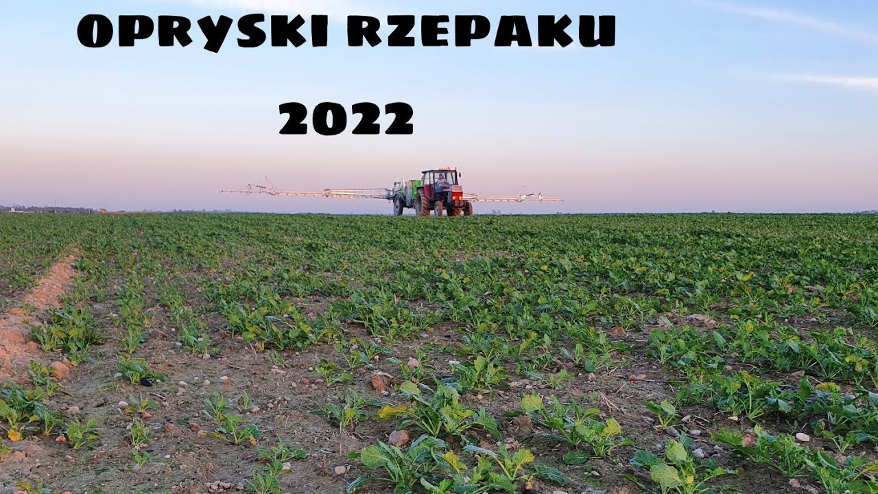 opryski rzepaku na grzyba2022 zetor8111🚜i tolmet borys2021
