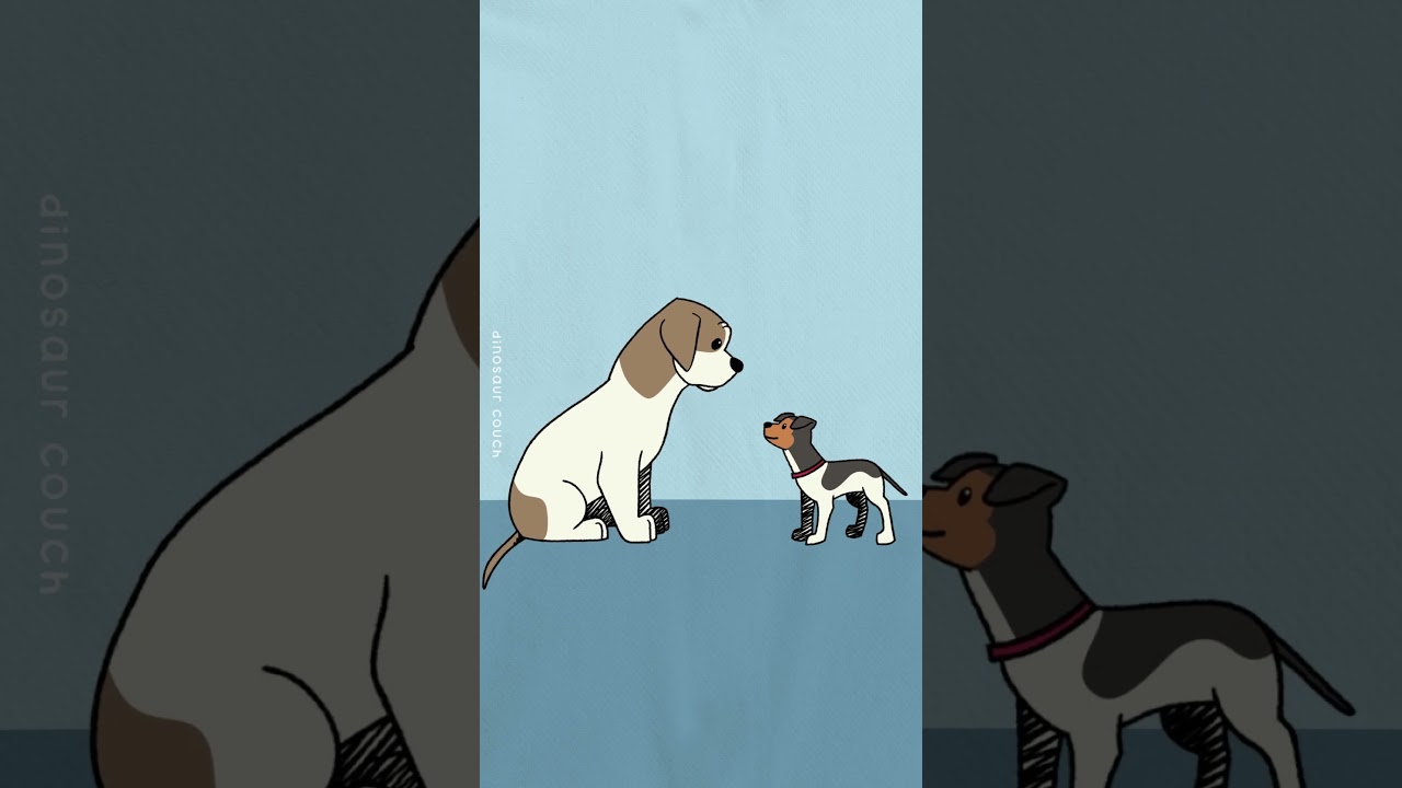 a dog animation compilation #dog #animation