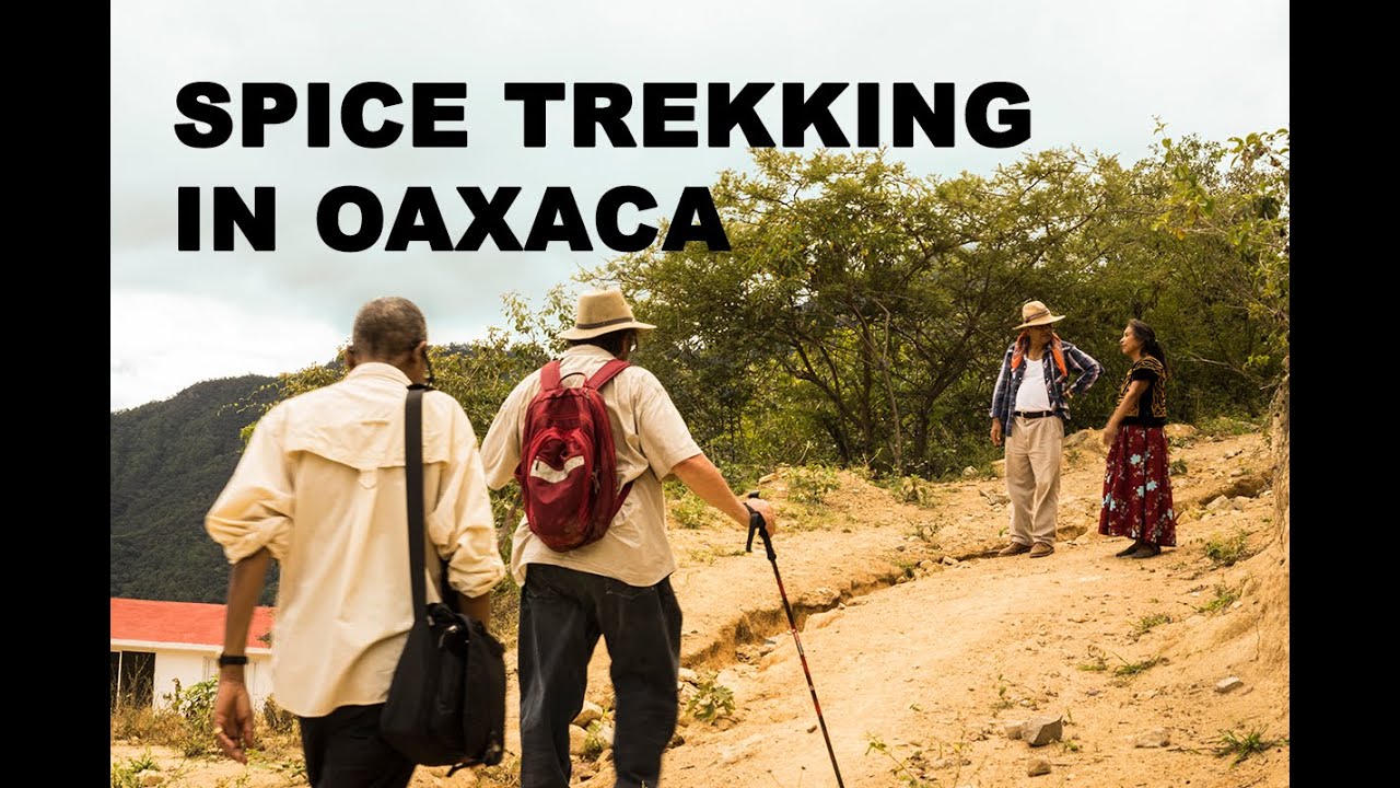 A Chile Pasilla de Oaxaca Hunt