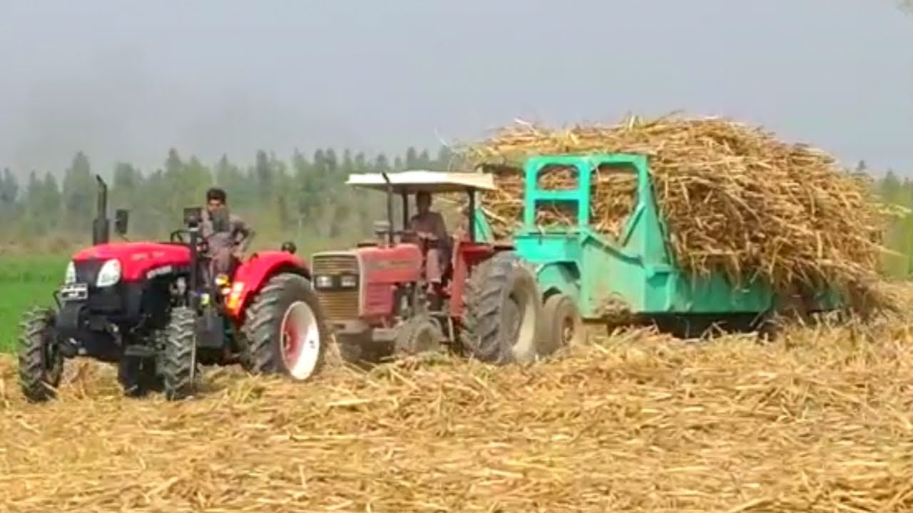 YTO EMF 604 4X4 60 TROLLY PERFORMANCE | YTO TRACTOR IN PAKISTAN