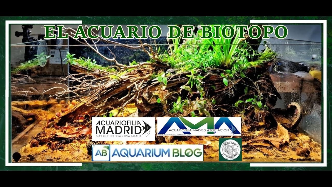 El acuario de Biotopo, por Álvaro 