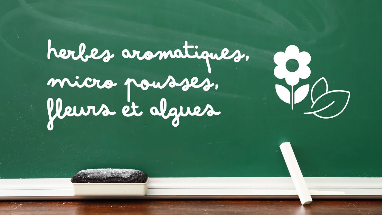 Cours dynamique EISF | Herbes aromatiques,  micro pousses, fleurs et algues
