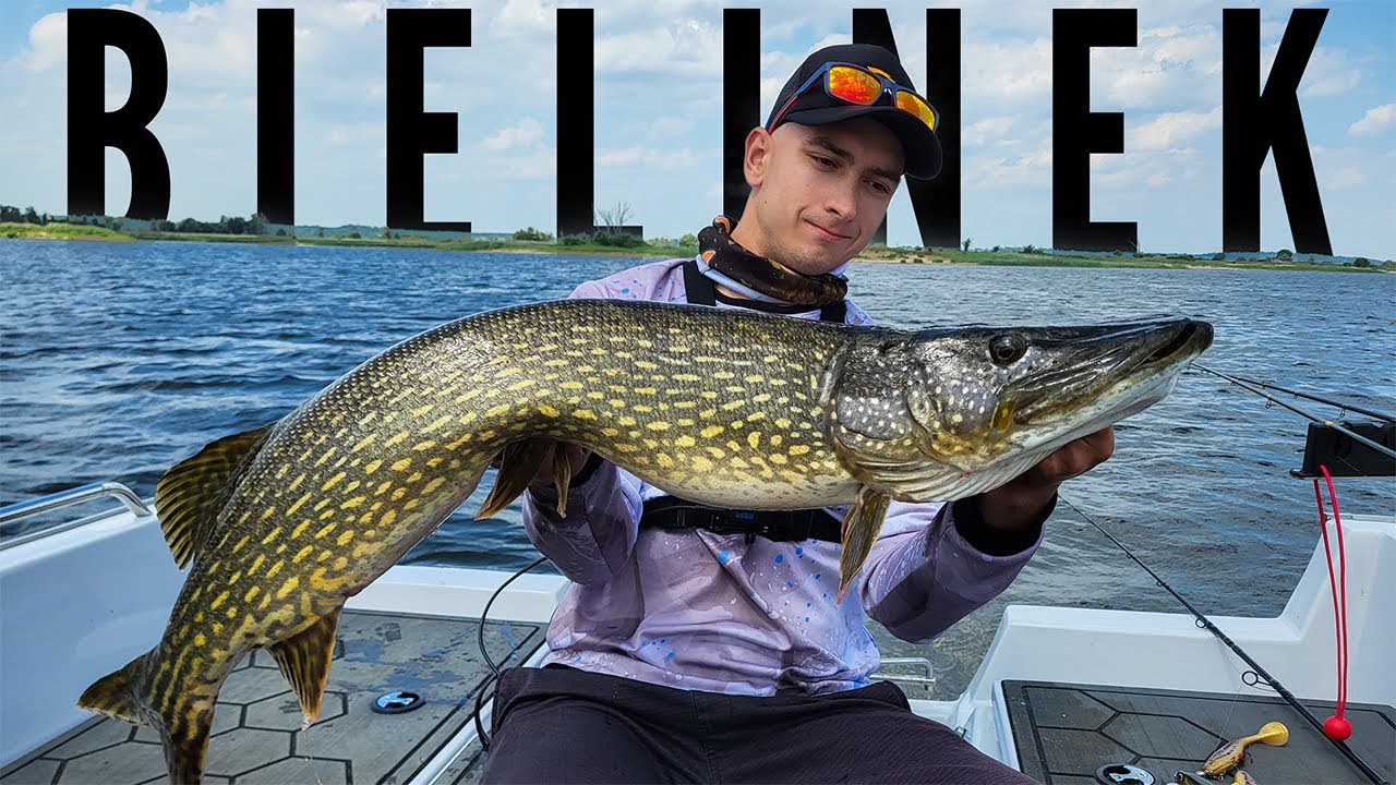 SZCZUPAKI z łowiska BIELINEK | POBIŁEM ŻYCIÓWKĘ