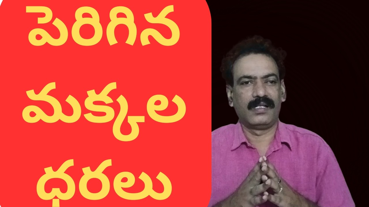 Maize Market Report || Today Maize Rate in Telangana State || పెరిగిన మొక్కజొన్న ధర