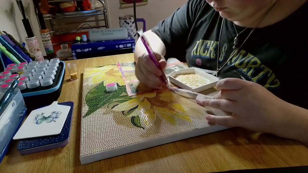 Sunflower timelapse part 2